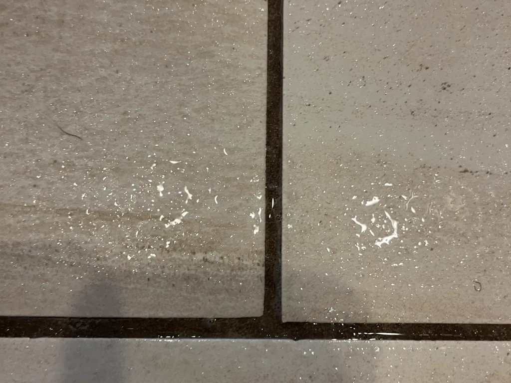 Close view of a floor grout joint holding soil below the tile surface