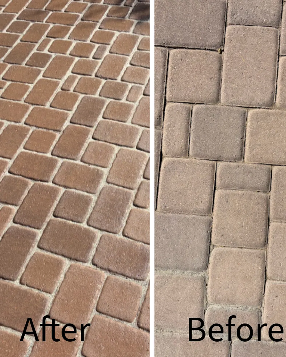 Brick paver walkway shown after and before cleaning, the color difference visible at the seam