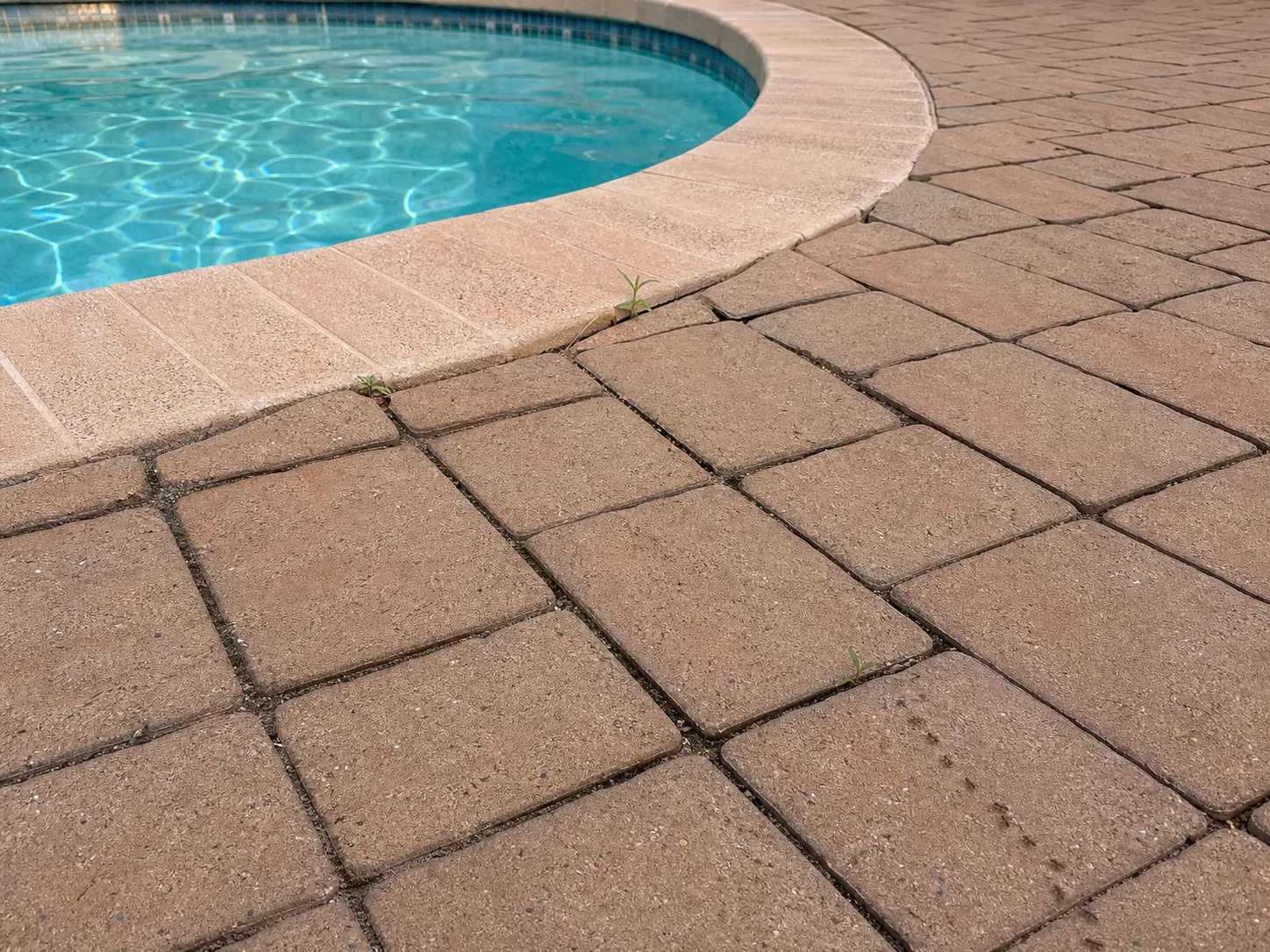 Eroded sand and small weeds in empty paver joints beside a swimming pool