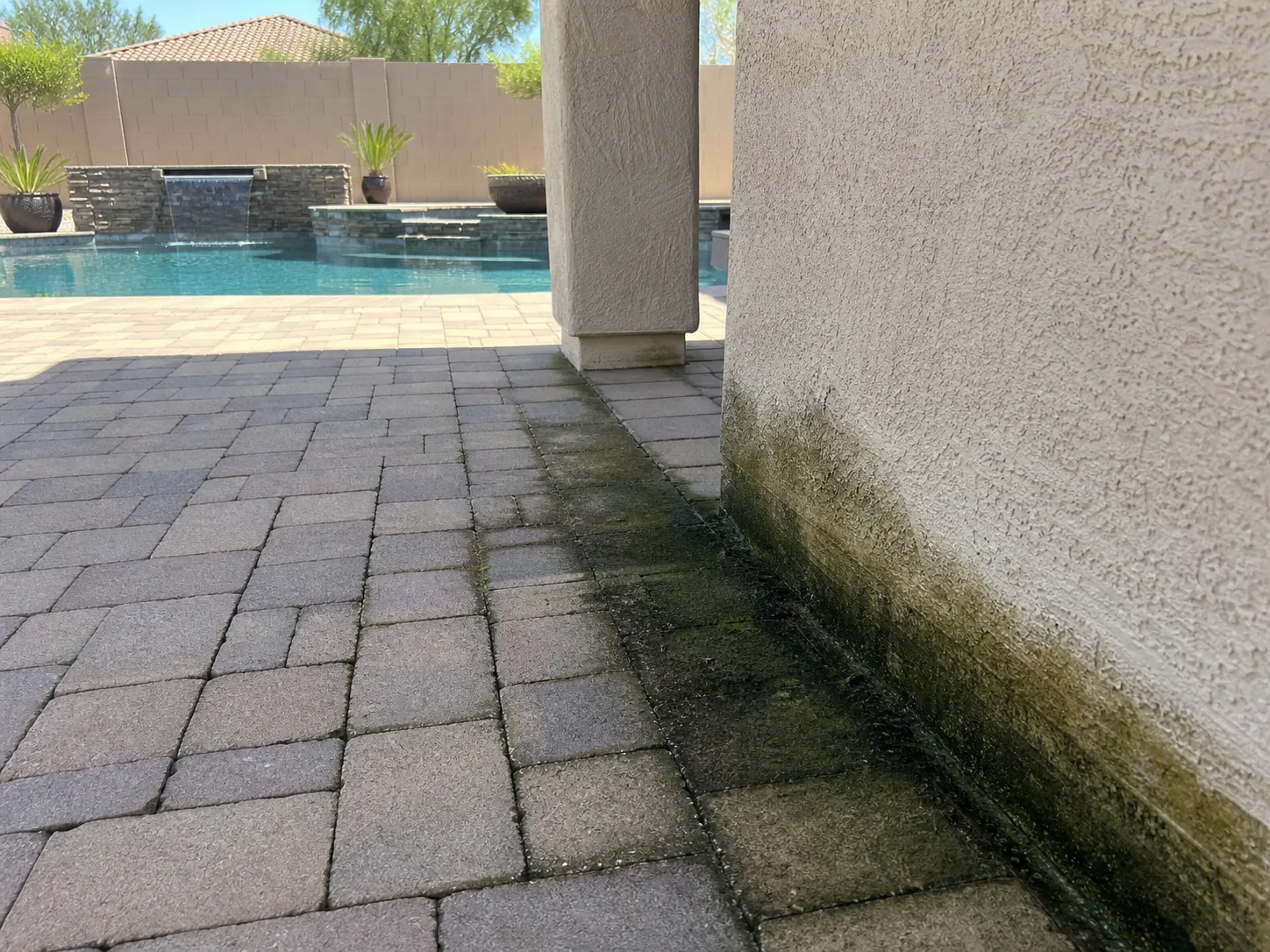 Dark organic growth along damp paver joints in a shaded pool deck area