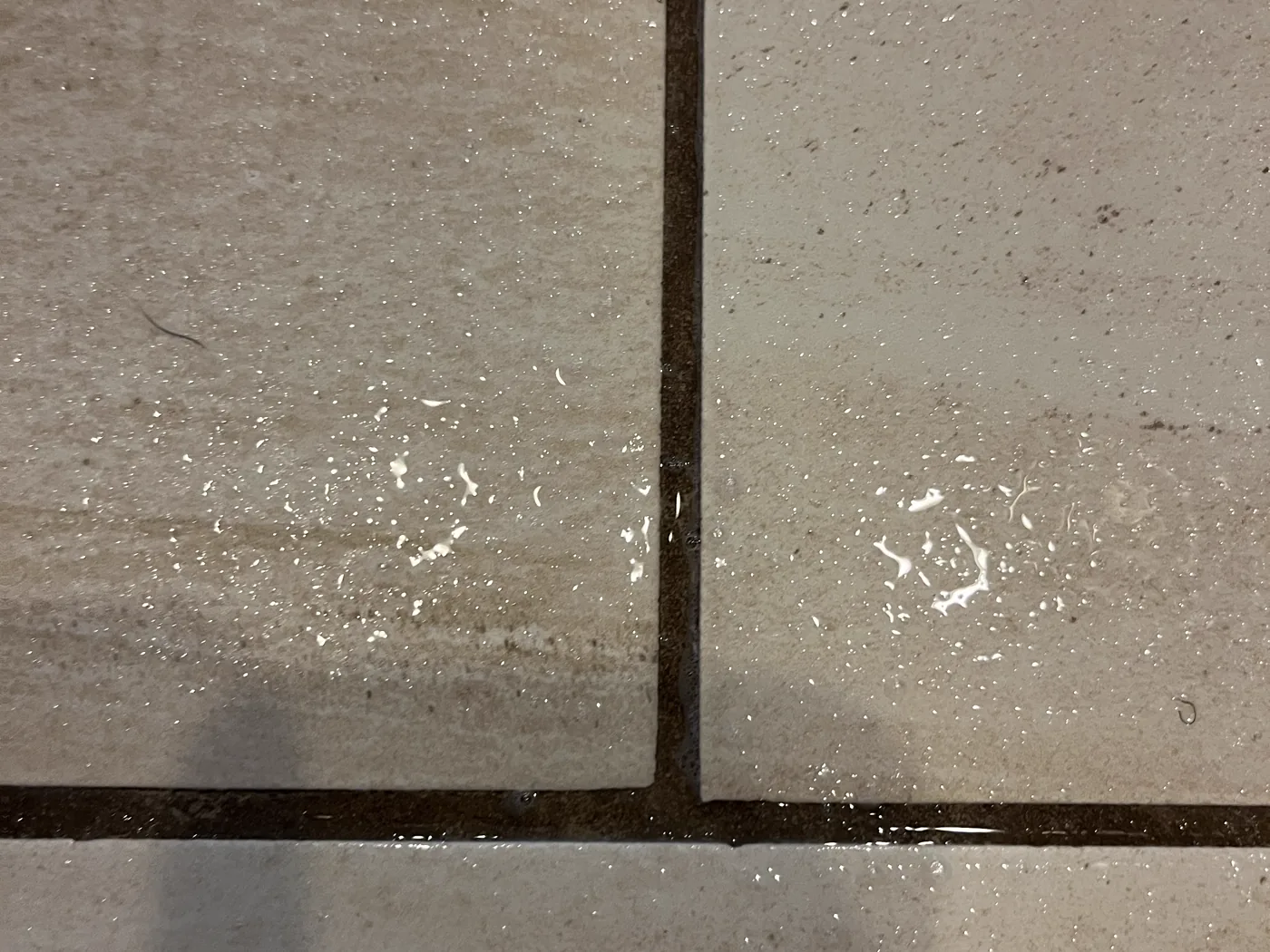 Close view of a floor grout joint holding soil below the tile surface